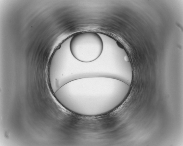 X0000095521432200712281450