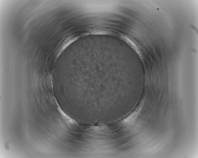 X0000095521433200712281450