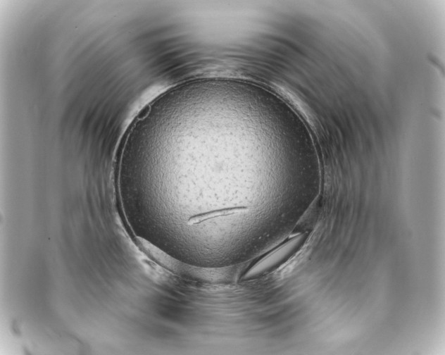 X0000095521434200712281450