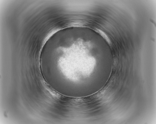 X0000095521435200712281450