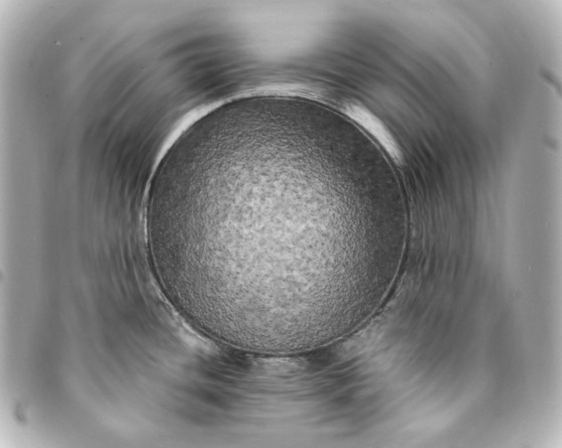 X0000095521436200712281450