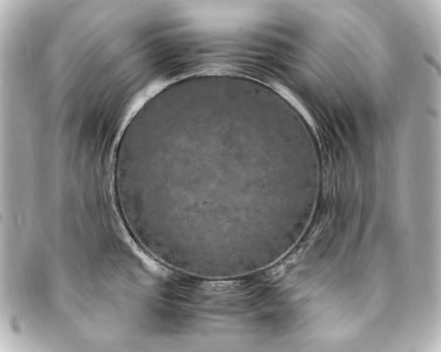 X0000095521437200712281450