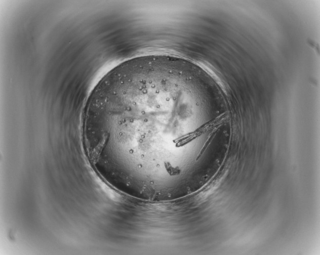 X0000095521438200712281450