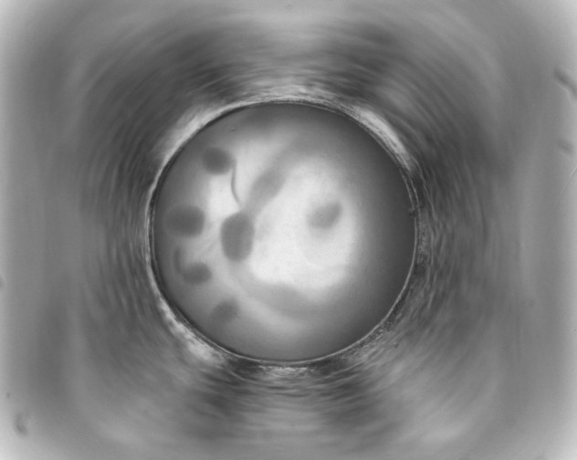 X0000095521439200712281450