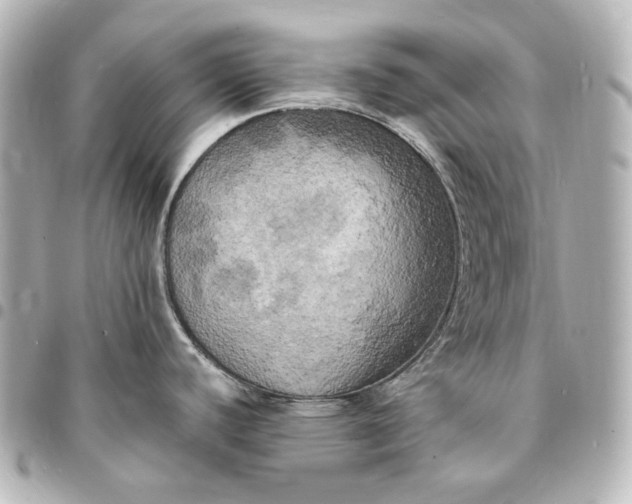 X0000095521440200712281450