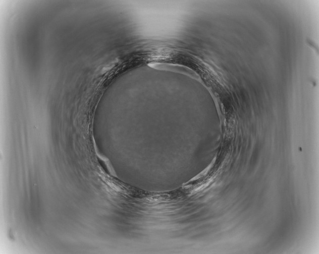 X0000095521441200712281450