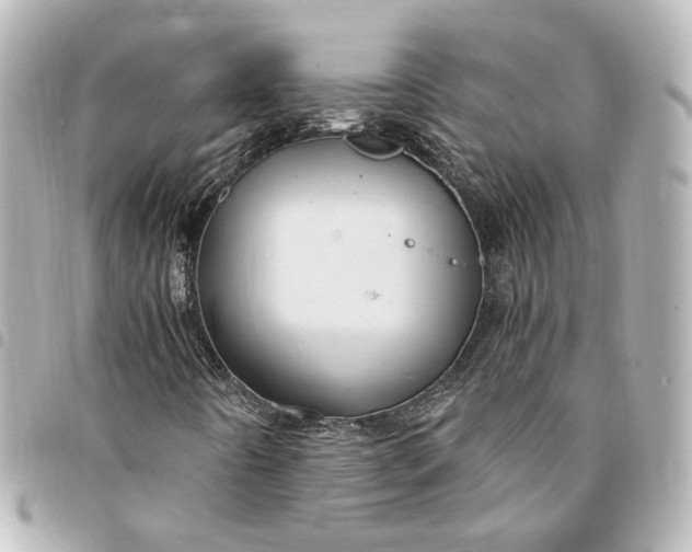 X0000095521442200712281450