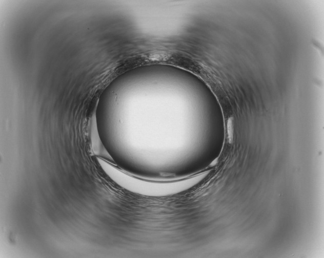 X0000095521443200712281450