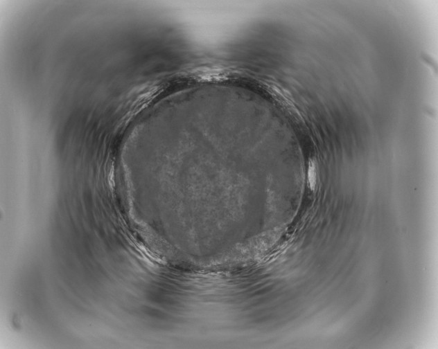 X0000095521444200712281450