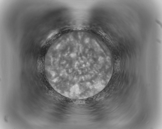 X0000095521446200712281450