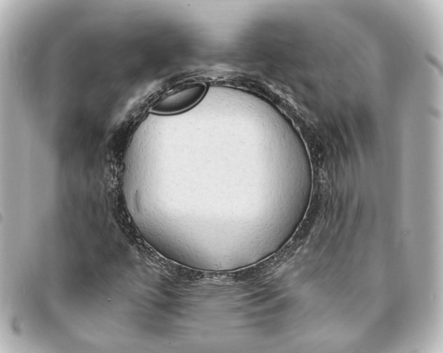 X0000095521447200712281450