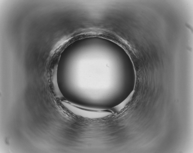 X0000095521448200712281450