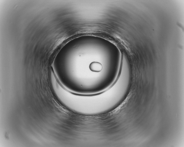 X0000095521449200712281450