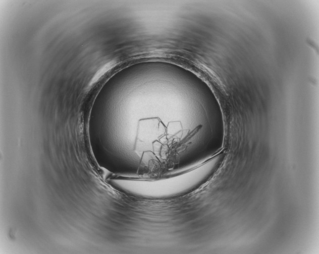 X0000095521450200712281450