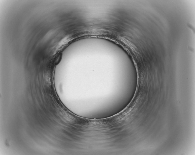 X0000095521451200712281449