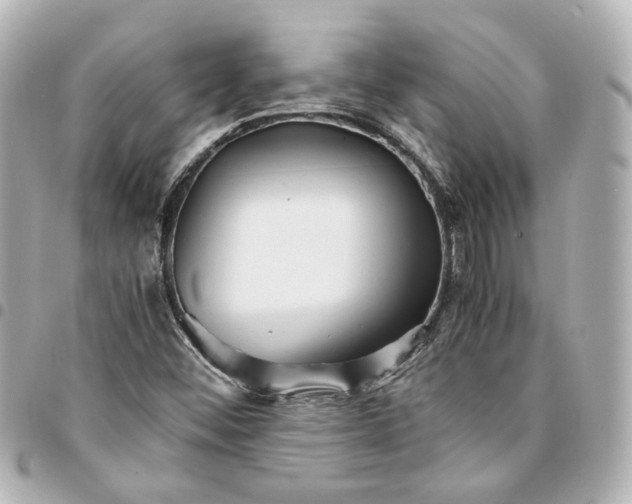 X0000095521452200712281449