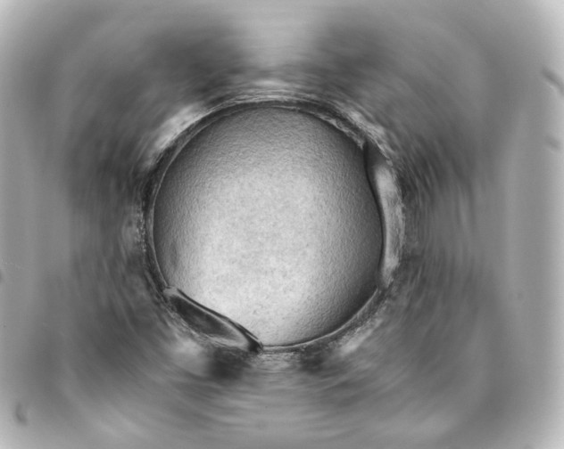 X0000095521453200712281449