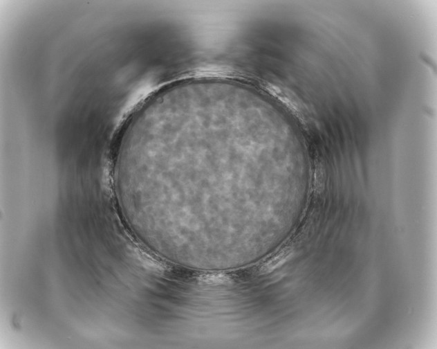 X0000095521454200712281449