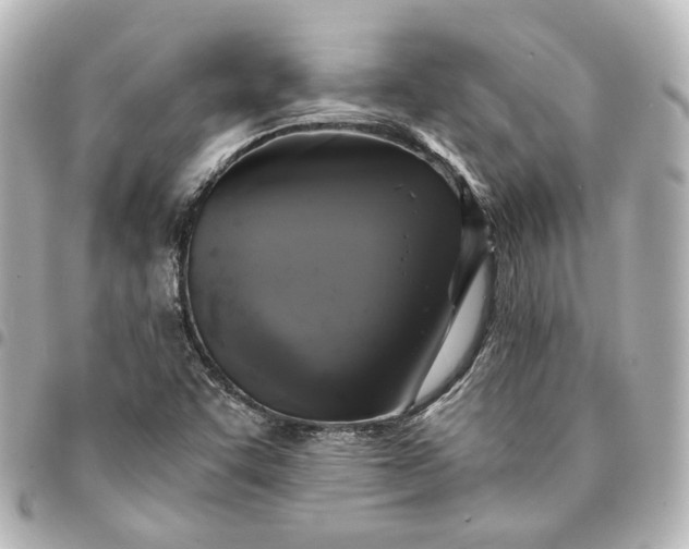 X0000095521455200712281449