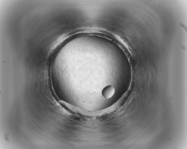 X0000095521456200712281449