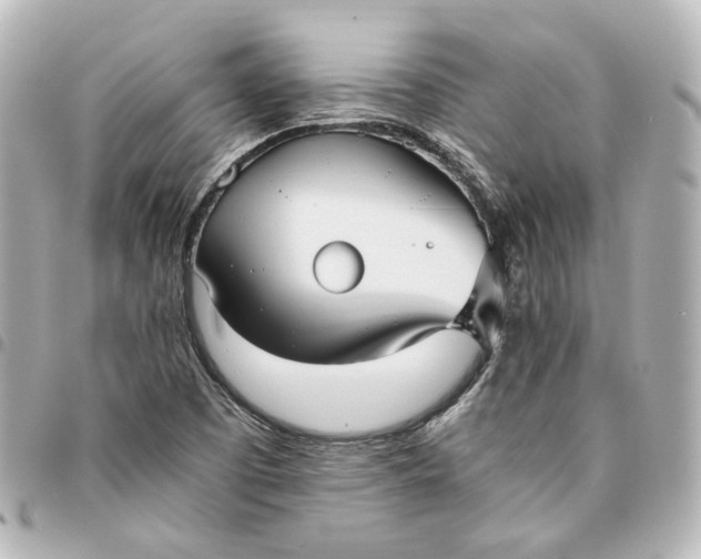 X0000095521457200712281449