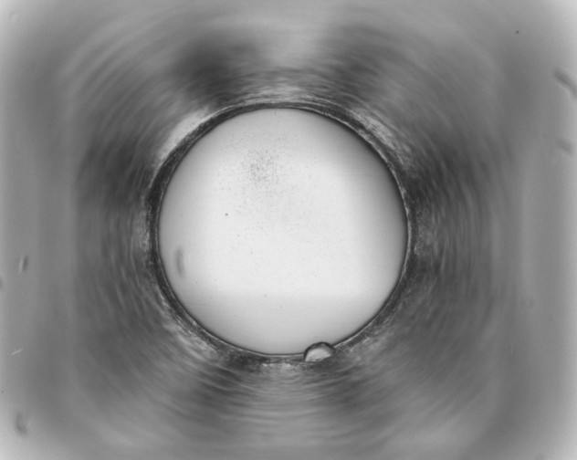 X0000095521458200712281449