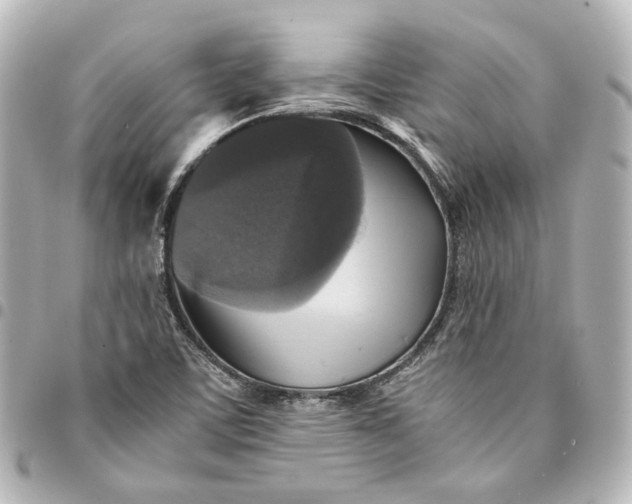 X0000095521459200712281449