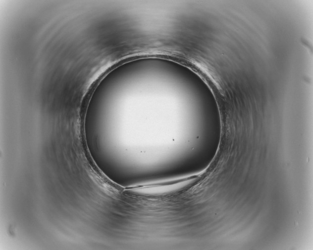 X0000095521460200712281449