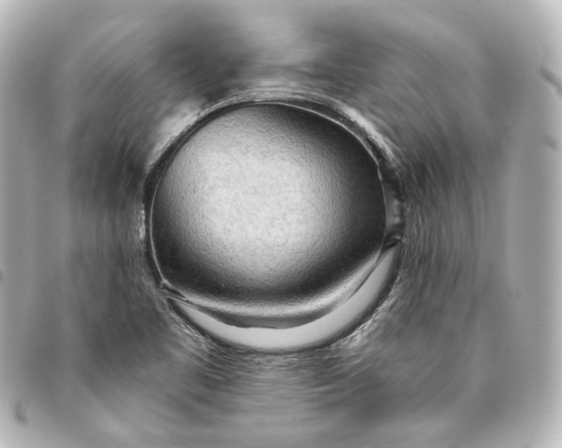 X0000095521461200712281449