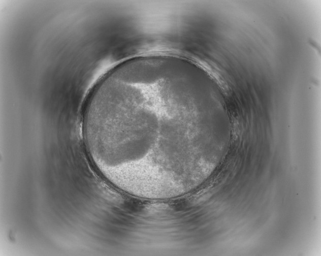 X0000095521462200712281449