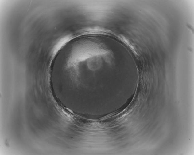 X0000095521463200712281449