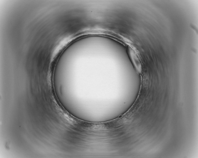 X0000095521464200712281449