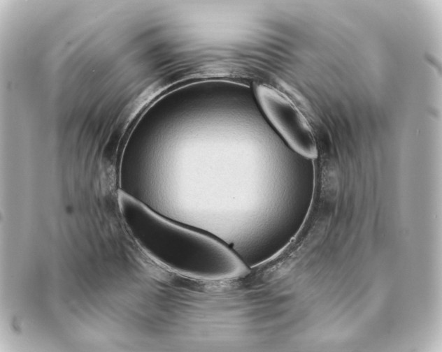 X0000095521465200712281449