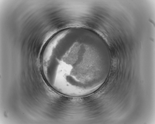 X0000095521466200712281449