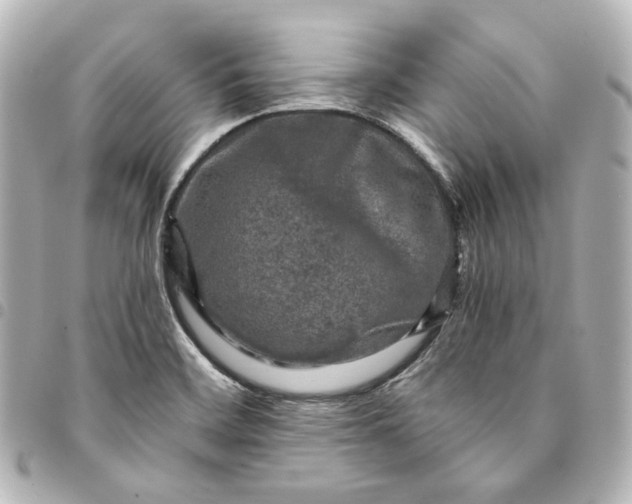 X0000095521468200712281449