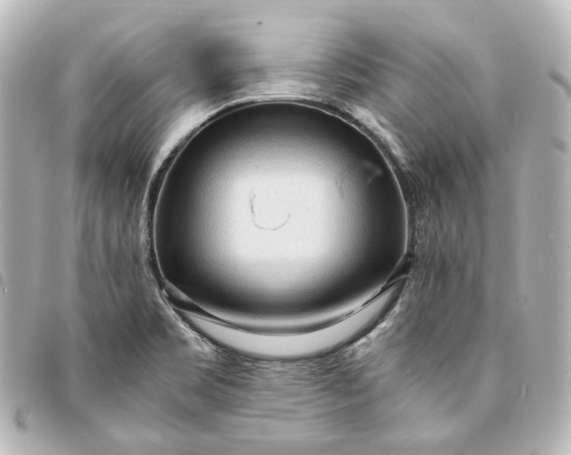 X0000095521469200712281449