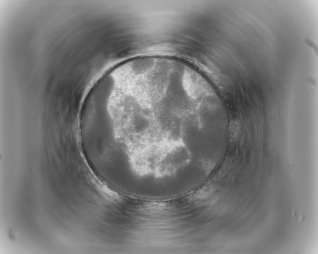 X0000095521470200712281449