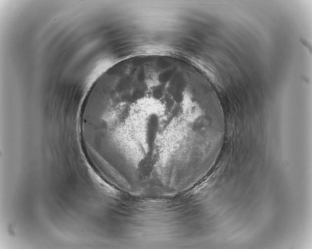 X0000095521471200712281449