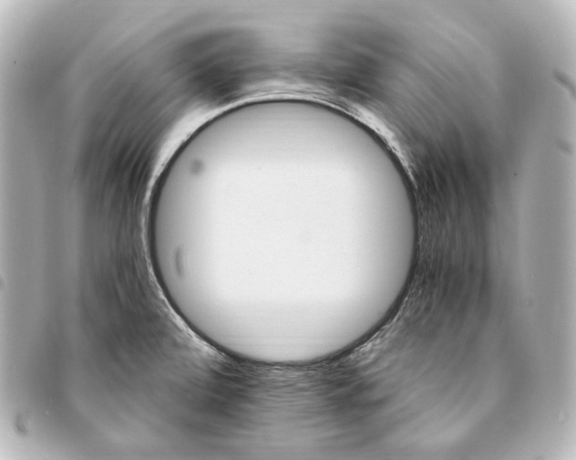 X0000095521472200712281449