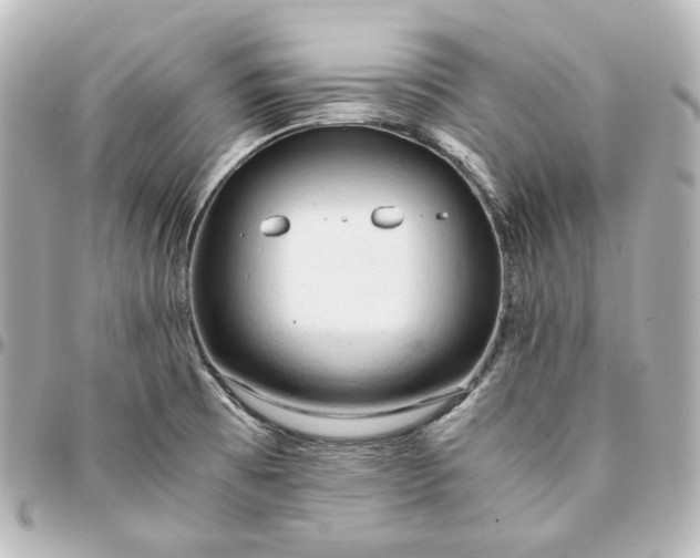 X0000095521473200712281449