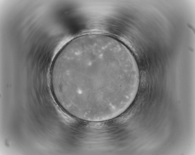 X0000095521474200712281449