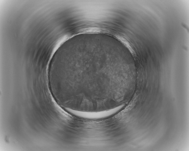 X0000095521475200712281449