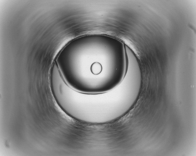 X0000095521476200712281449