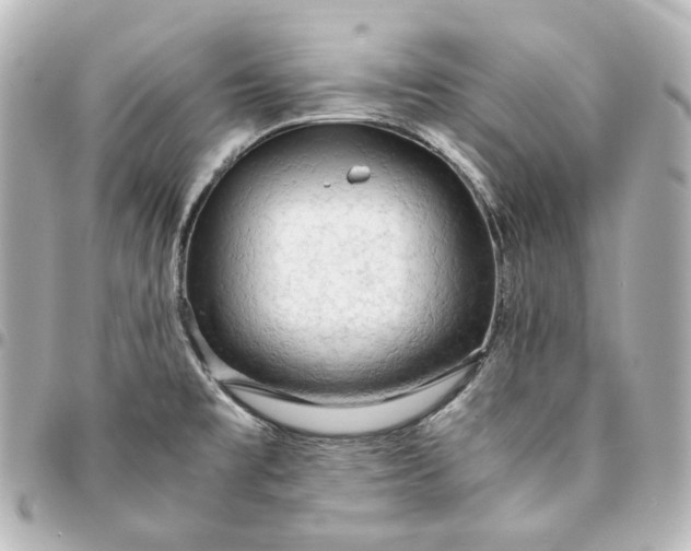 X0000095521477200712281449