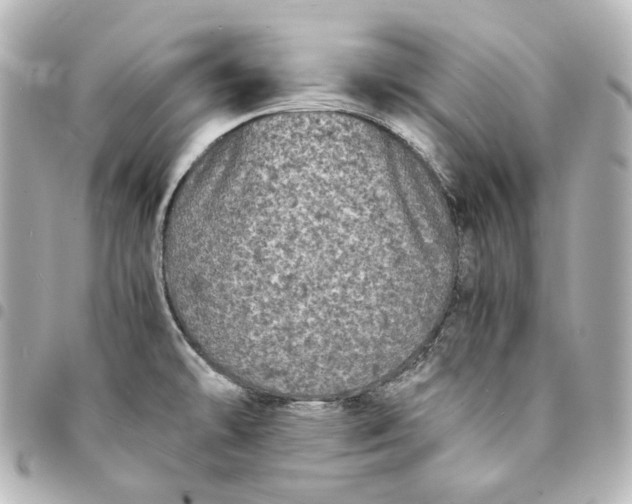 X0000095521478200712281449