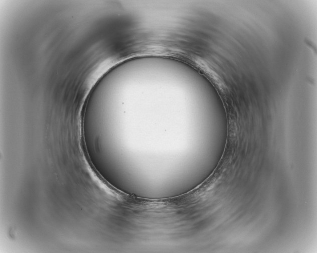 X0000095521479200712281449