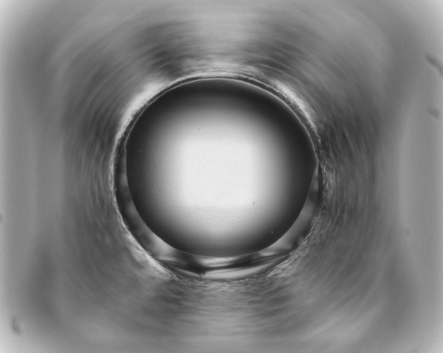 X0000095521480200712281449