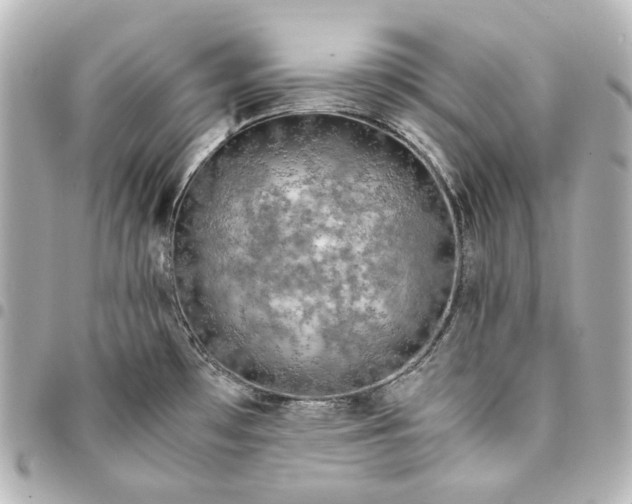 X0000095521481200712281449