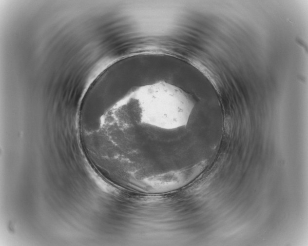 X0000095521482200712281449