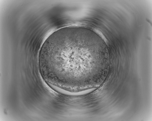 X0000095521483200712281449